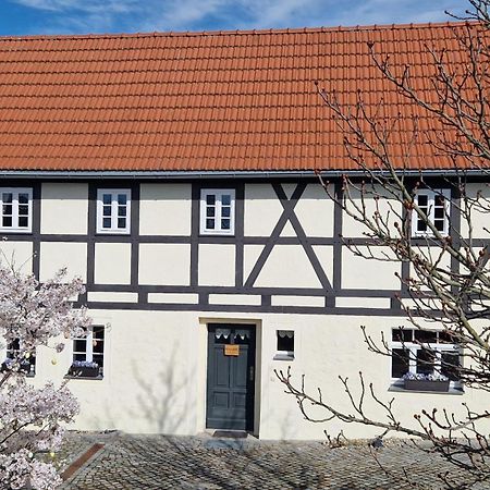 Winzerglueck Apartamento Weinböhla Exterior foto